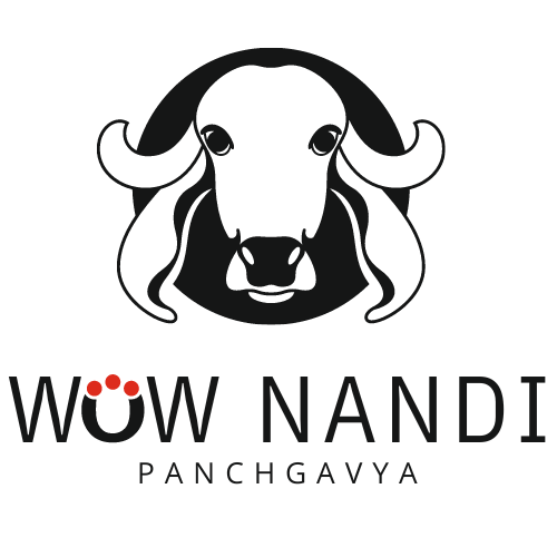 WowNandi